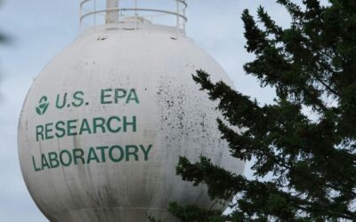 Southeastern Legal Foundation supports small business’s Supreme Court challenge against environmental overreach