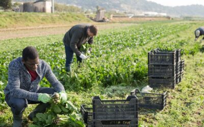 Southeastern Legal Foundation files amicus brief defending family farm against U.S. Department of Labor’s massive overreach with ruinous fines