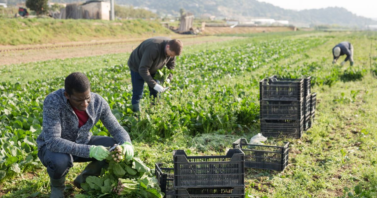 Southeastern Legal Foundation files amicus brief defending family farm against U.S. Department of Labor’s massive overreach with ruinous fines