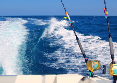 Petition to NOAA: Amend or Repeal 2008 Boat Speed Limit Rule